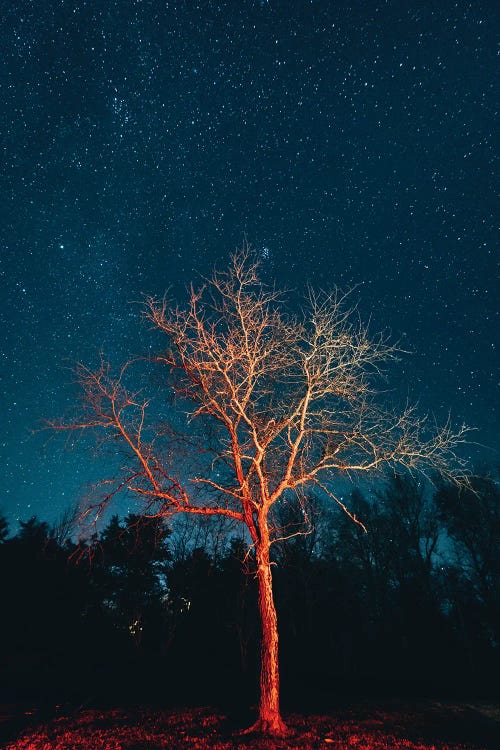 Illuminate II by Jon Bilous wall art