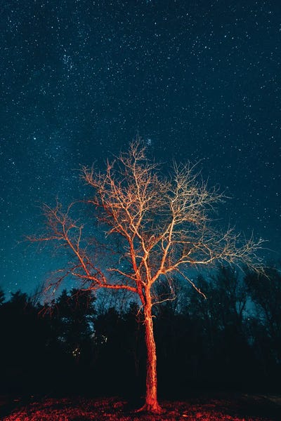 Fire & Ice: Illuminate II by Jon Bilous