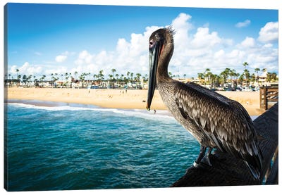 Balboa Pier Pelican Canvas Art Print - Pelican Art