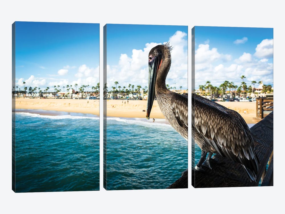 Balboa Pier Pelican by Jon Bilous 3-piece Canvas Artwork