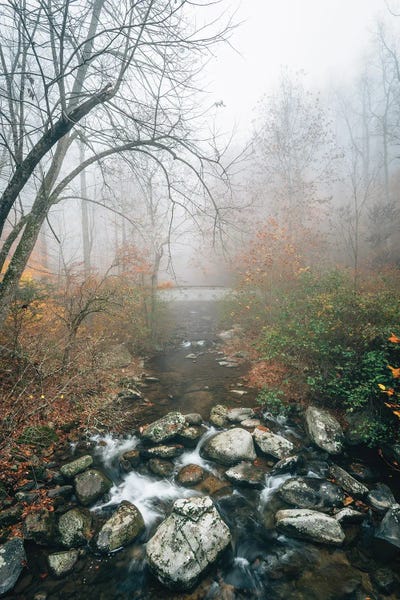 Virginia: Little Tye River by Jon Bilous