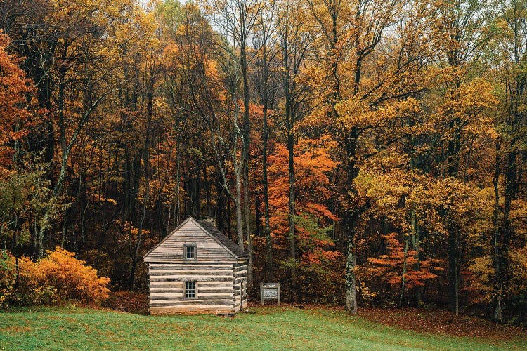 Lonely Cabin