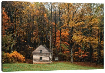 Lonely Cabin Canvas Art Print - Cabins