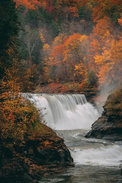 Fine Art Print: Lower Falls, Letchworth by Jon Bilous