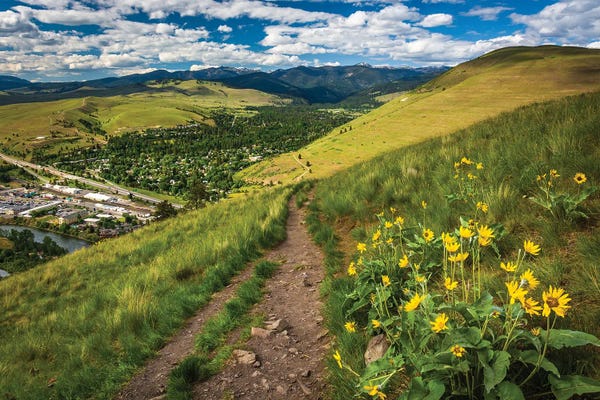 Montana: Mount Sentinel by Jon Bilous