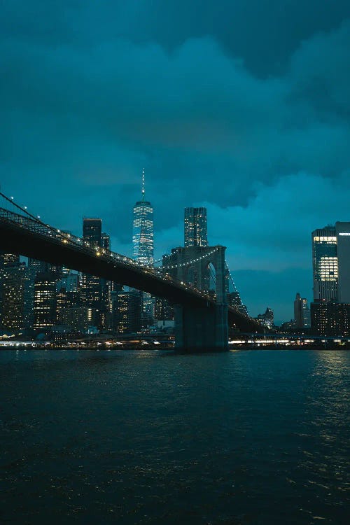 NYC Skyline From Dumbo I