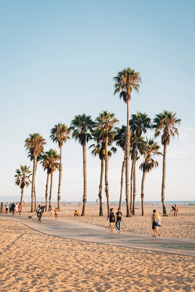 Fine Art Print: Palms, Santa Monica II by Jon Bilous