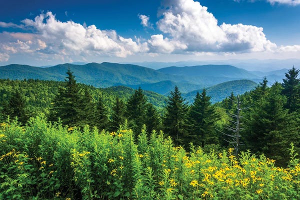 Layered Landscapes: Pleasantries by Jon Bilous