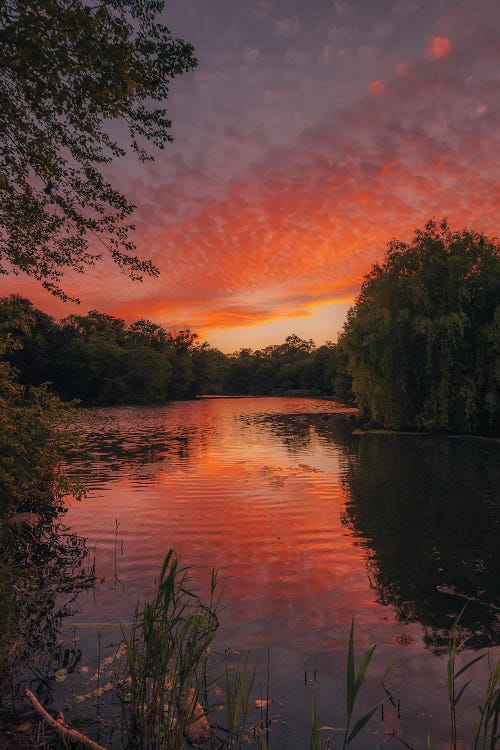 Prospect Park Sunset I by Jon Bilous wall art