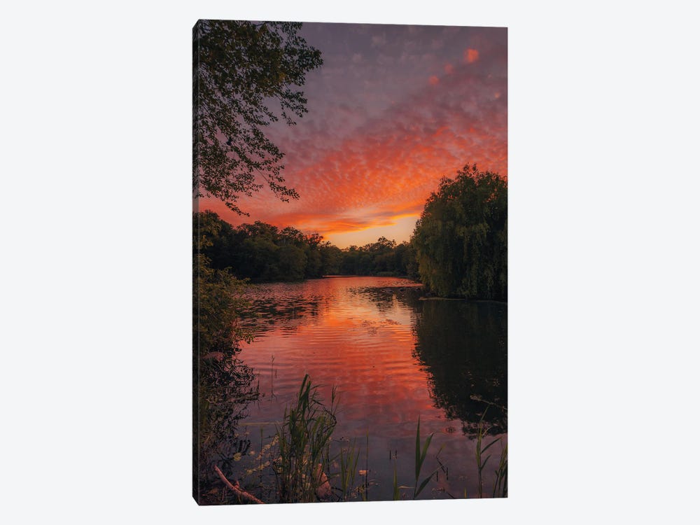 Prospect Park Sunset I by Jon Bilous 1-piece Canvas Art