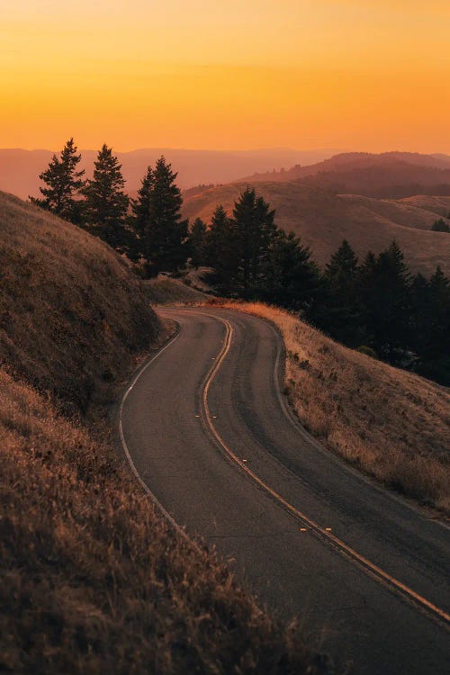 Road On Mount Tamalpais I by Jon Bilous wall art
