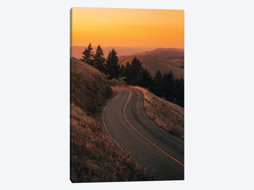 Road On Mount Tamalpais I by Jon Bilous 1-piece Art Print