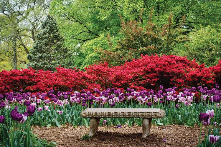 Seated In Sherwood Gardens Park