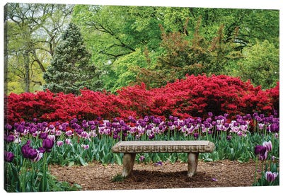 Seated In Sherwood Gardens Park Canvas Art Print - Maryland Art