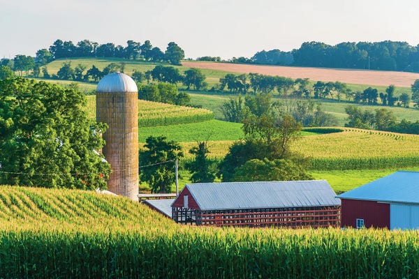 Hillsides: Soft Silo No. 2 by Jon Bilous