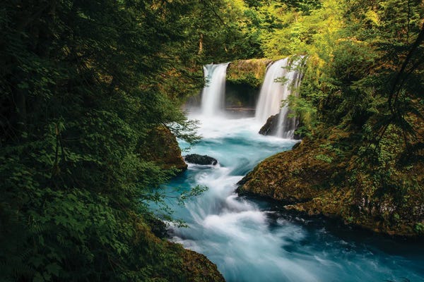 Washington: Spirit Falls, Little White Salmon River by Jon Bilous