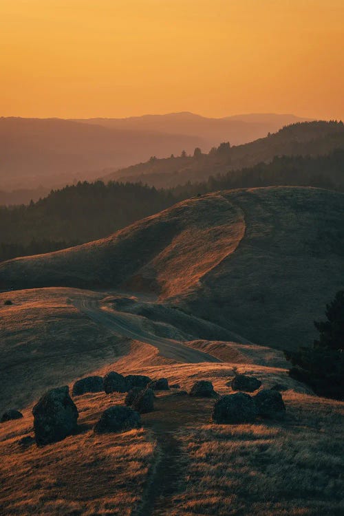 Tamalpais Evening View III