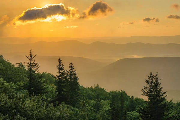 West Virginia: Bear Rocks Preserve III by Jon Bilous