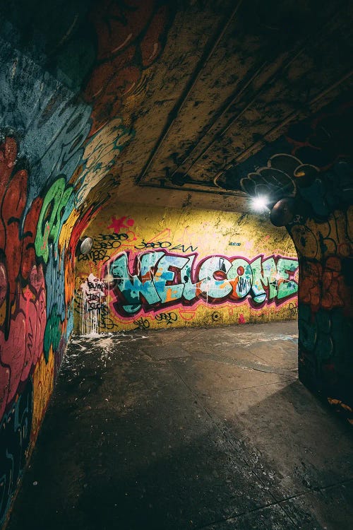 191st Street Station Entrance Tunnel III by Jon Bilous wall art