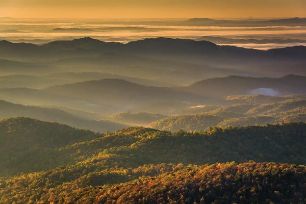 Mist & Fog: Thoughtful II by Jon Bilous