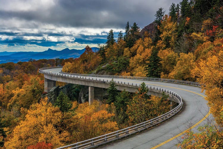 Through Blue Ridge by Jon Bilous wall art