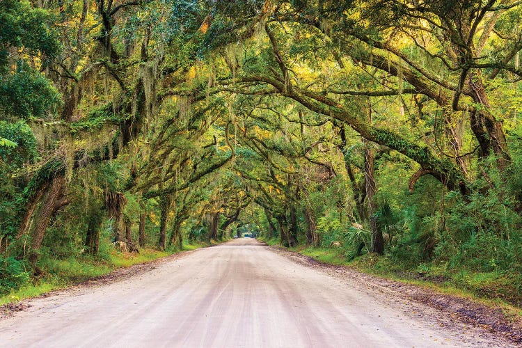 To Botany Bay by Jon Bilous wall art