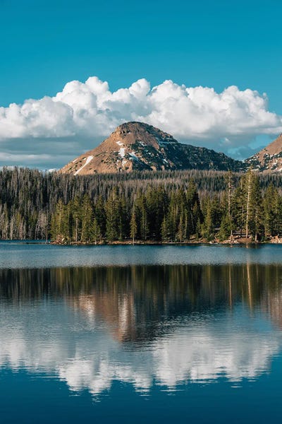 Utah: Trial Lake Reflections I by Jon Bilous