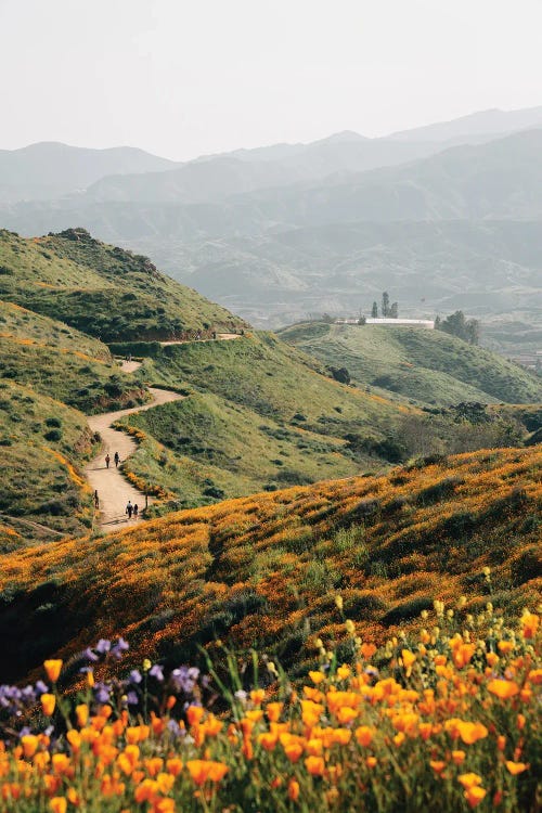 Walker Canyon Trail I