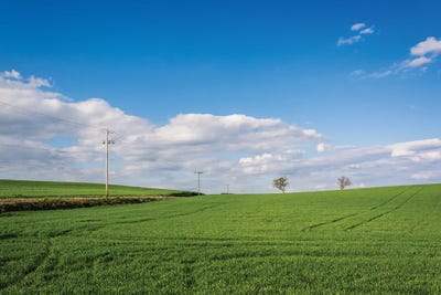 Big Green by Jon Bilous acrylic art print