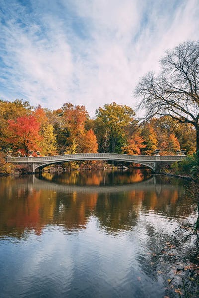 Canvas Print: Bow Bridge Autumn II by Jon Bilous
