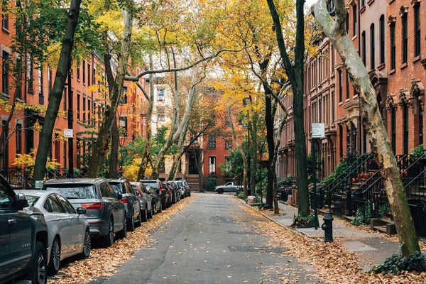 Brooklyn: Bk Heights Autumn II by Jon Bilous