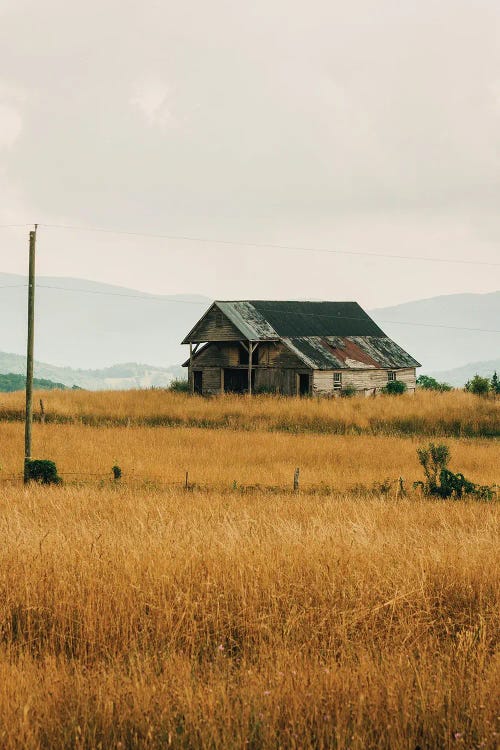 Blue Ridge Rural by Jon Bilous wall art