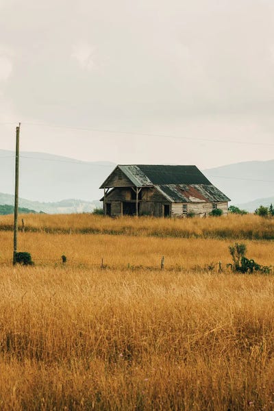 Large Photography - Canvas Prints: Blue Ridge Rural by Jon Bilous