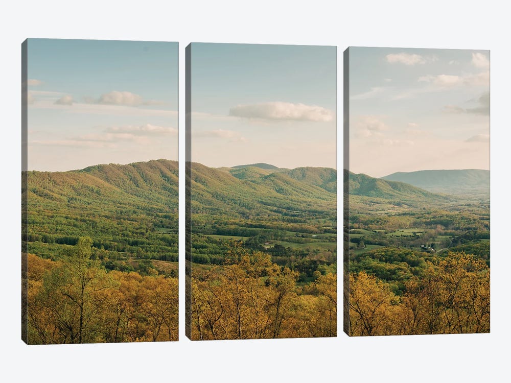 Blue Ridge Views I by Jon Bilous 3-piece Canvas Art Print