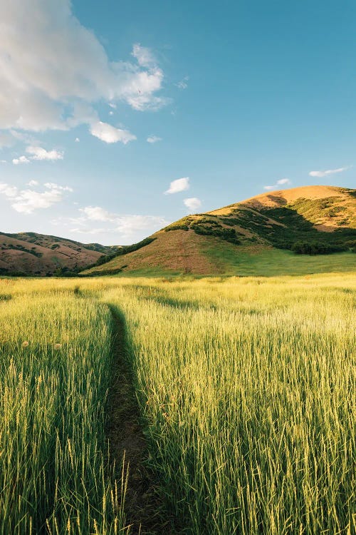 Bonneville Shoreline Trail I by Jon Bilous wall art