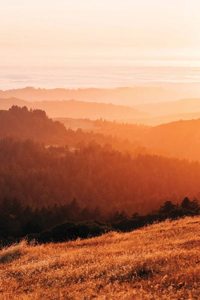 Borel Hill by Jon Bilous acrylic art print