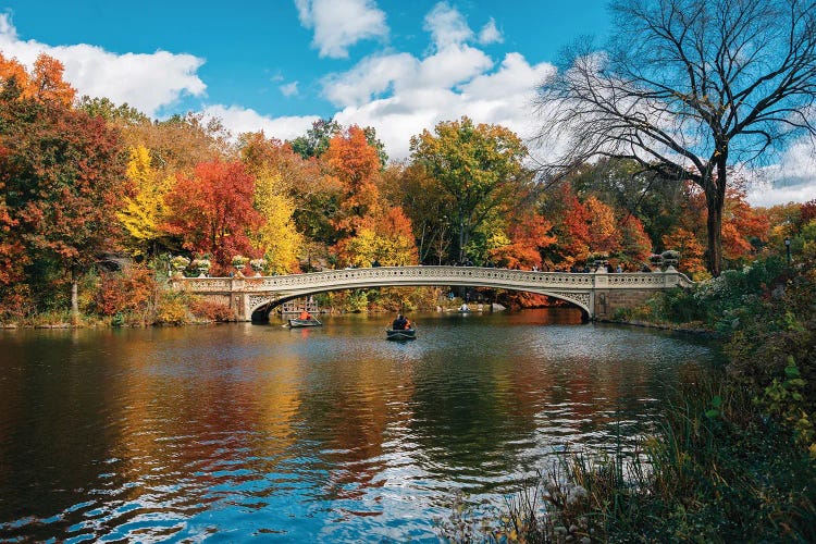 Bow Bridge Autumn I by Jon Bilous wall art