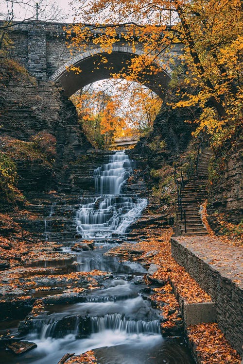 Cascadilla Gorge by Jon Bilous wall art
