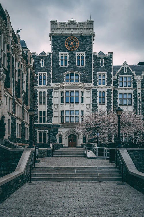 CCNY Architecture