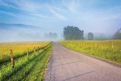Country Fog by Jon Bilous acrylic art print