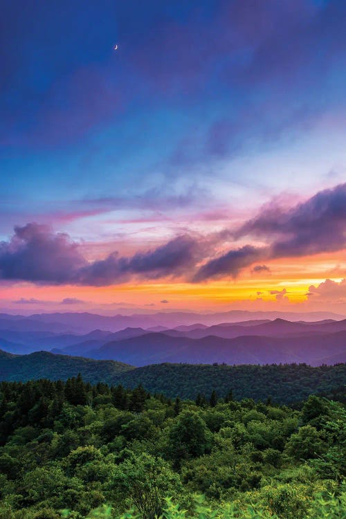 Cowee Mountains Overlook II by Jon Bilous wall art