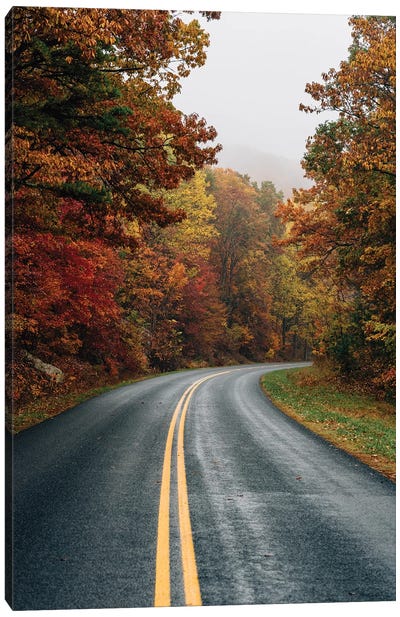 Fall Blue Ridge Canvas Art Print - Appalachian Mountain Art