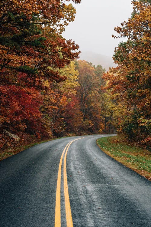 Fall Blue Ridge