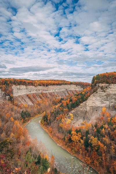 Canvas Print: Gorge View, Letchworth by Jon Bilous