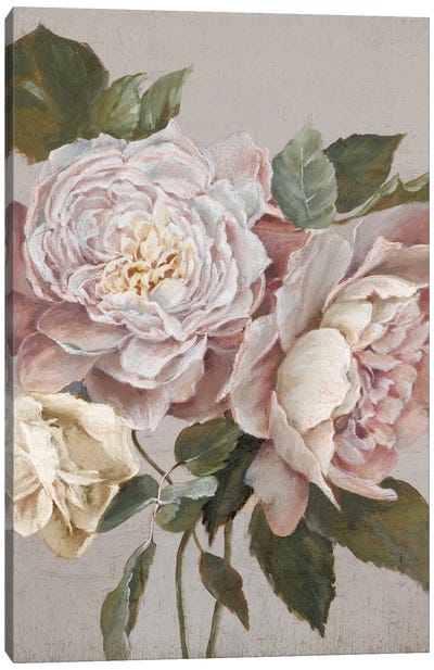 Baroque Blossom I Canvas Art Print - Peony Art