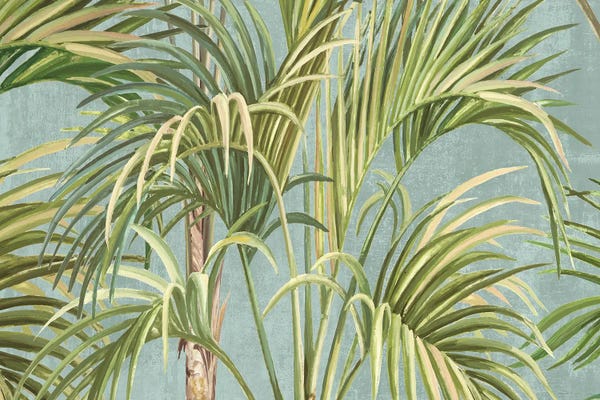 Alex Black: Forest of Green Palms by Alex Black