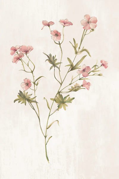 Alex Black: Wild Botanical II by Alex Black