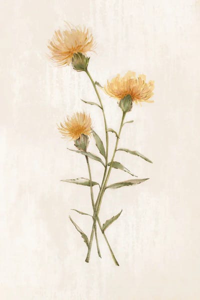 Alex Black: Wild Botanical III by Alex Black