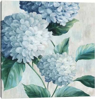Blue Hydrangea Blooms I Canvas Art Print - Hydrangea Art