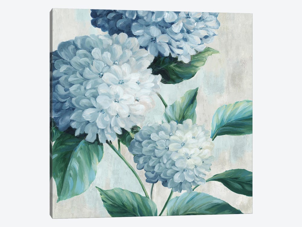 Blue Hydrangea Blooms I by Alex Black 1-piece Canvas Art Print